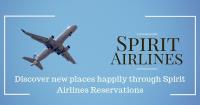 Spirit Airlines Baggage image 5
